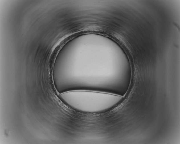 X0000101680923200807101141