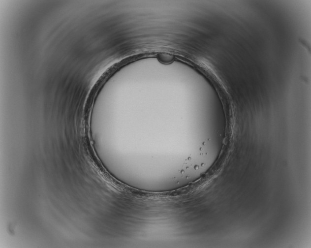 X0000101680924200807101141
