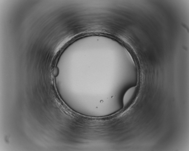 X0000101680925200807101141