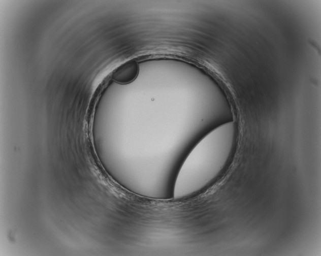 X0000101680928200807101141
