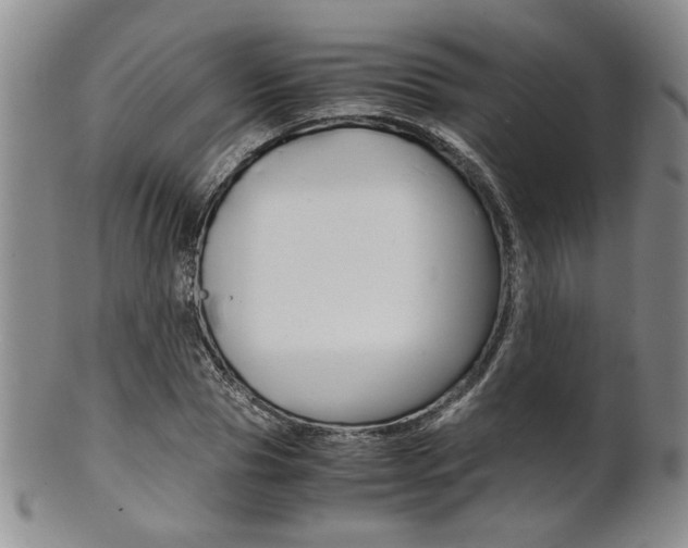 X0000101680929200807101141