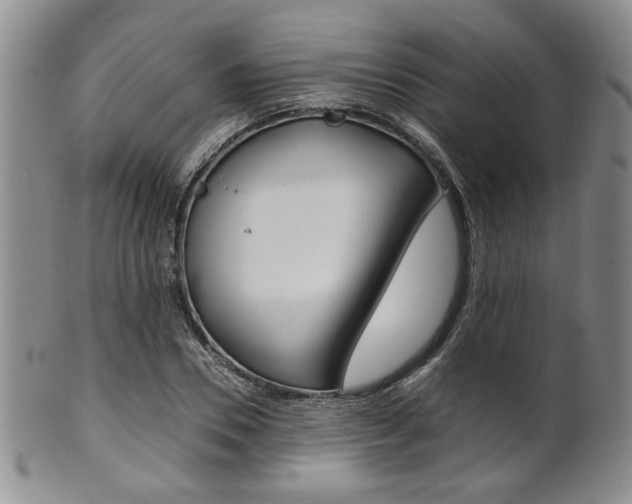 X0000101680930200807101141