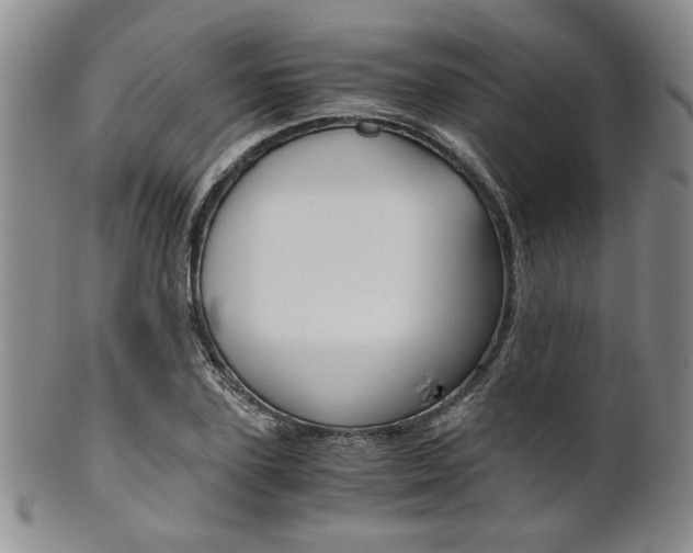X0000101680931200807101141