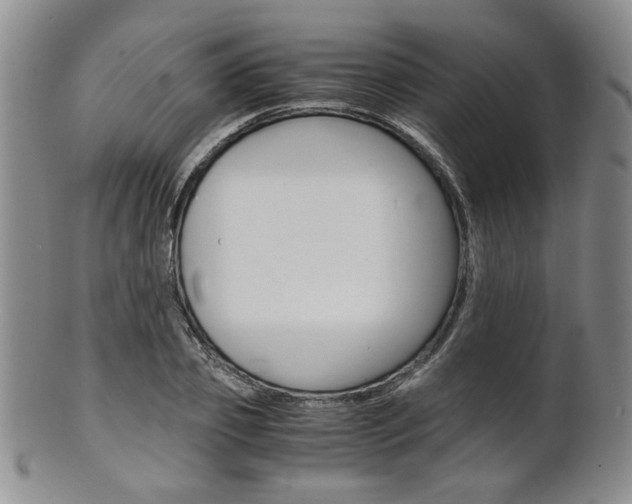 X0000101680933200807101141