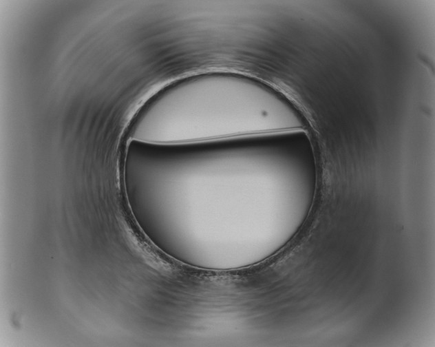 X0000101680934200807101141