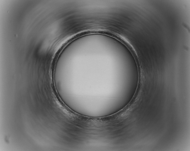 X0000101680935200807101141