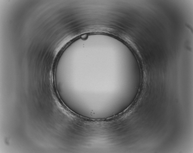 X0000101680936200807101141