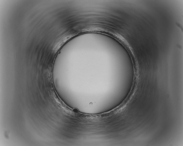 X0000101680937200807101141
