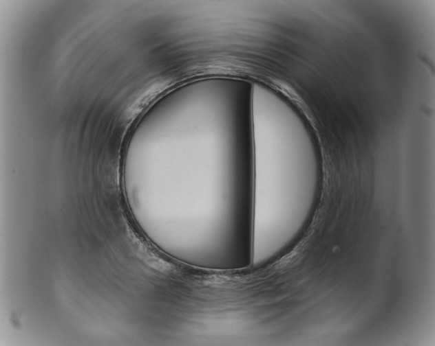 X0000101680938200807101141
