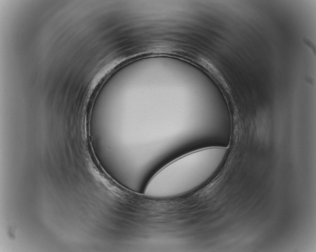 X0000101680939200807101141
