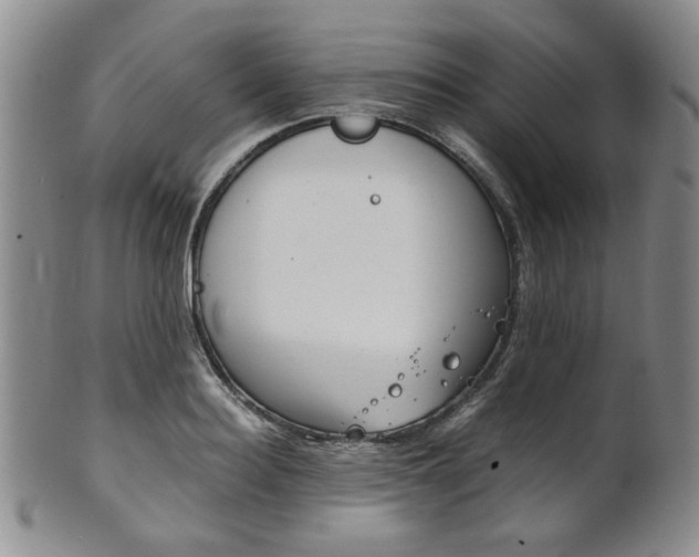 X0000101680940200807101141