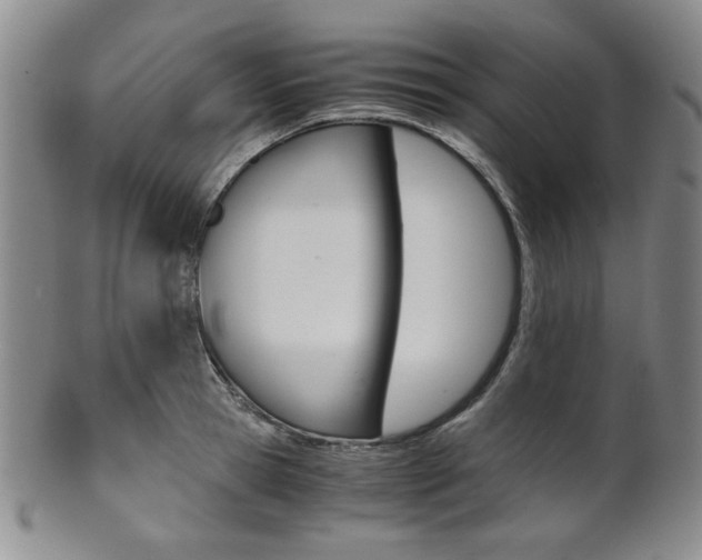 X0000101680945200807101141