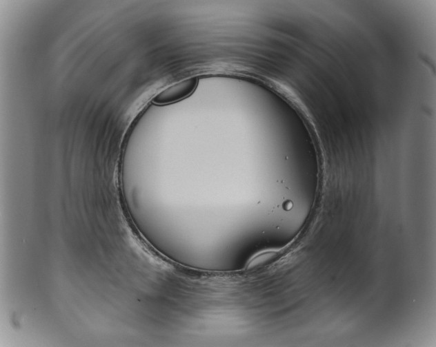 X0000101680946200807101141