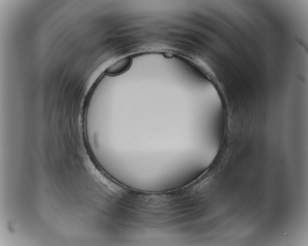 X0000101680947200807101141