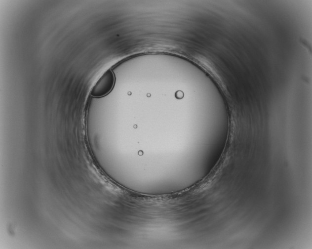X0000101680948200807101141