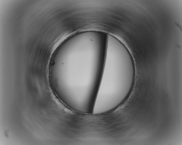 X0000101680949200807101141