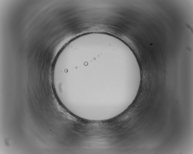 X0000101680950200807101141