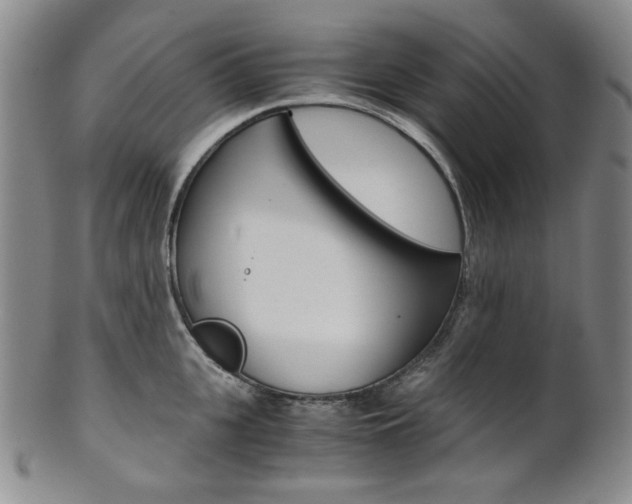X0000101680951200807101141