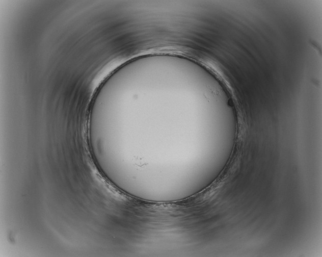 X0000101680952200807101141