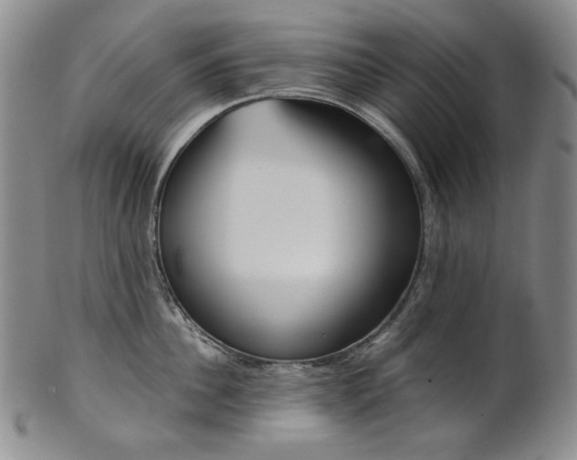 X0000101680956200807101141