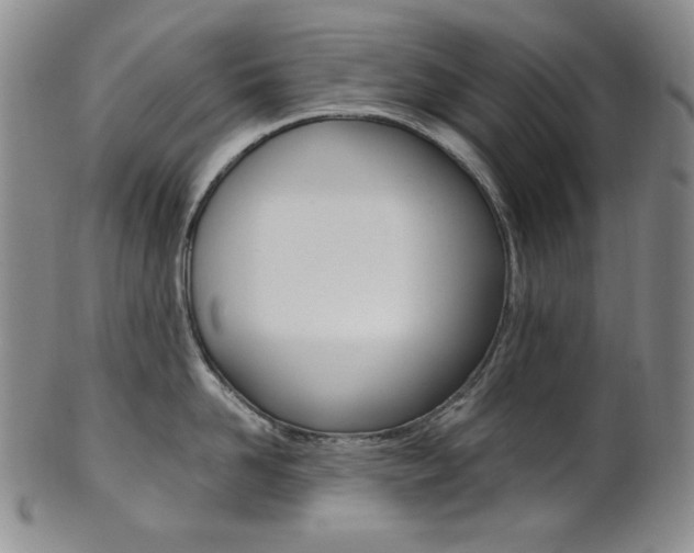 X0000101680958200807101141