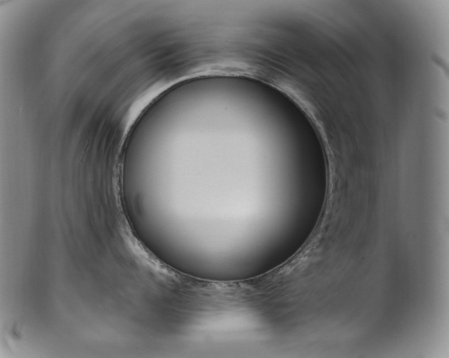 X0000101680960200807101141