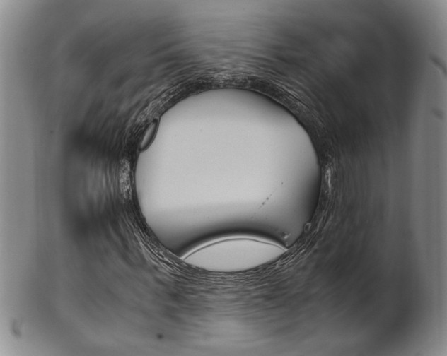 X0000101680963200807101140