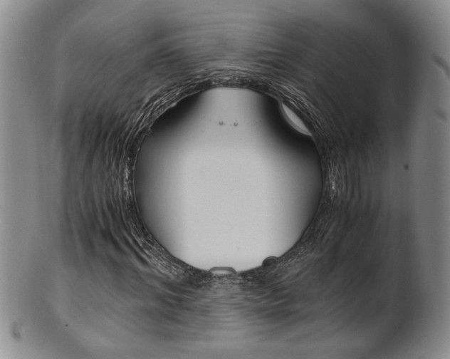 X0000101680964200807101140