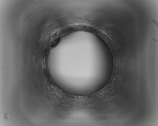 X0000101680965200807101140
