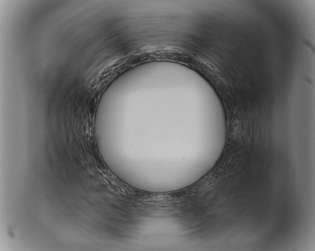 X0000101680966200807101140