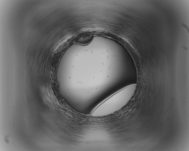 X0000101680967200807101140