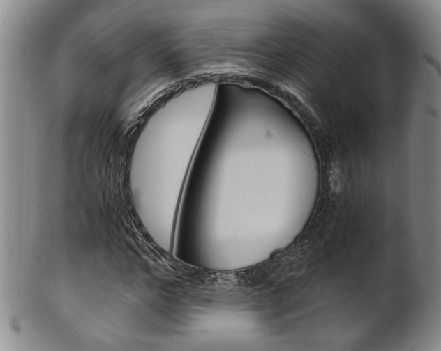 X0000101680968200807101140