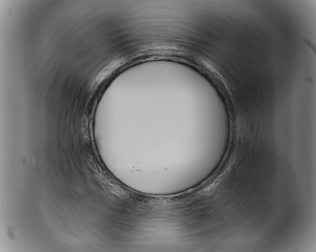 X0000101680970200807101140