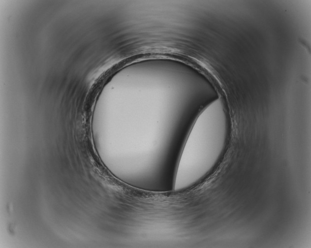 X0000101680971200807101140