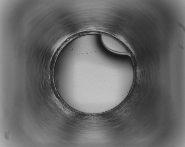 X0000101680972200807101140