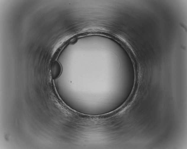 X0000101680973200807101140