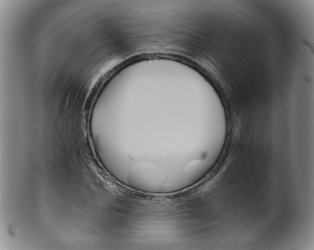 X0000101680974200807101140