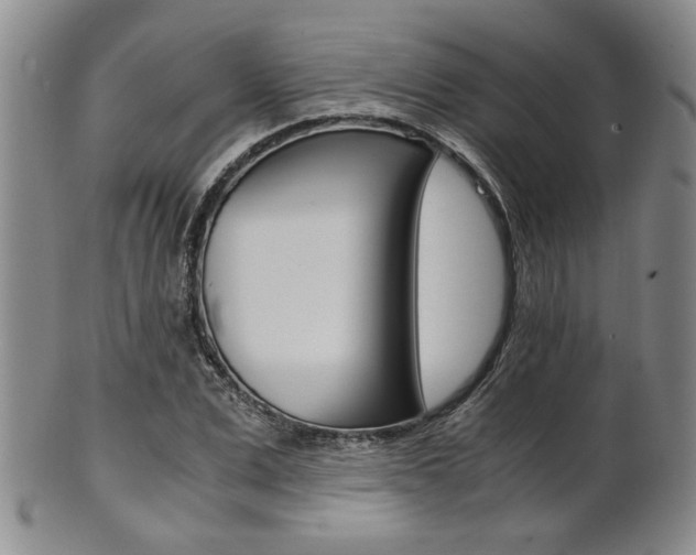 X0000101680975200807101140