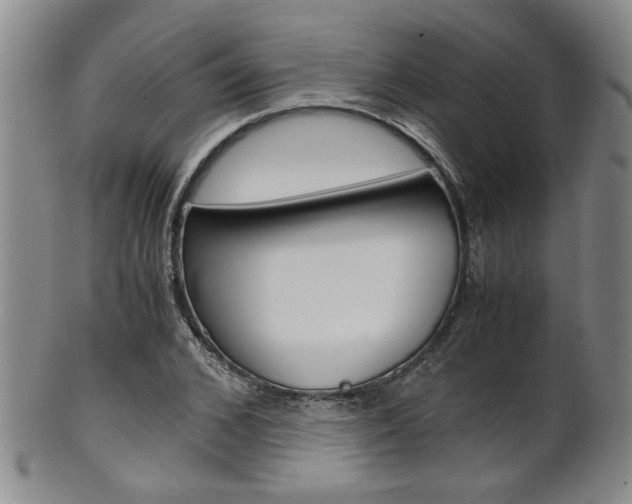 X0000101680976200807101140