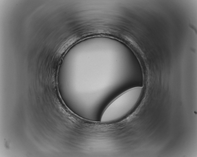 X0000101680977200807101140