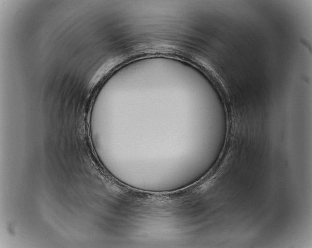 X0000101680978200807101140