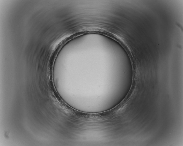 X0000101680979200807101140