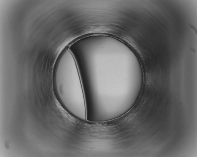 X0000101680980200807101140
