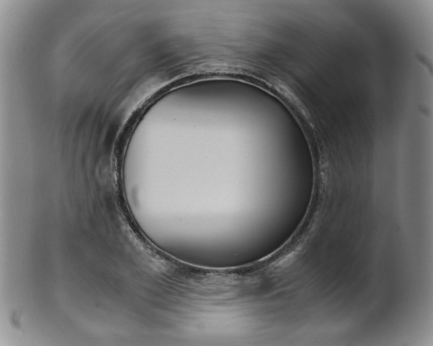 X0000101680981200807101140
