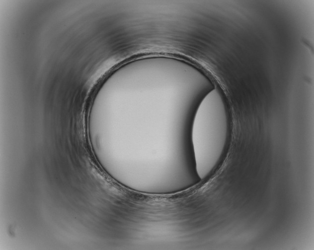 X0000101680982200807101140