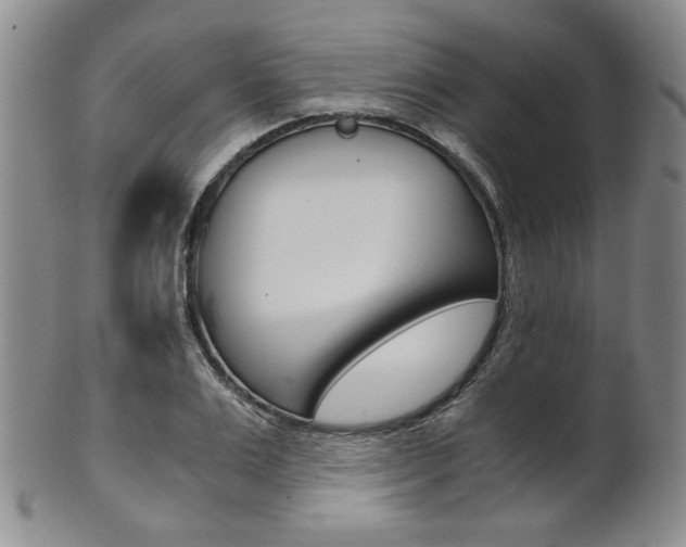 X0000101680983200807101140