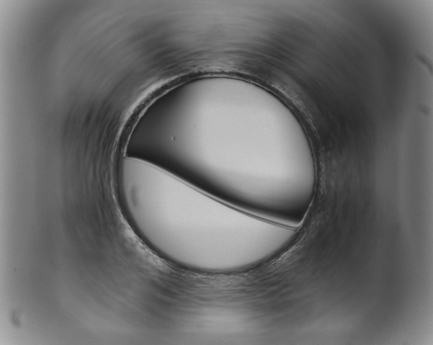 X0000101680984200807101140