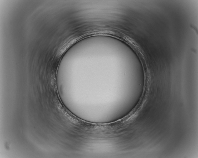 X0000101680985200807101140