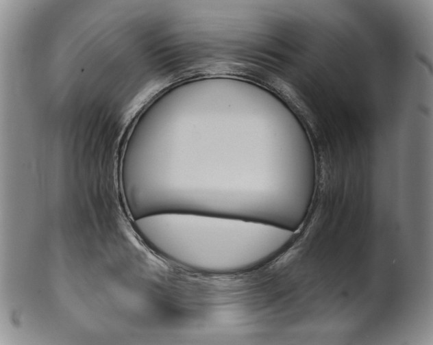X0000101680986200807101140