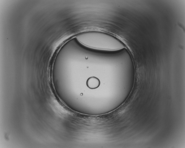 X0000101680987200807101140